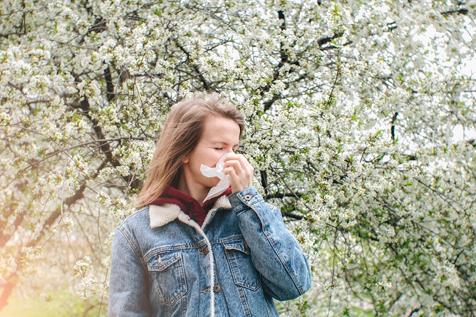 tree-pollen-101-what-it-is-and-why-it-causes-allergies